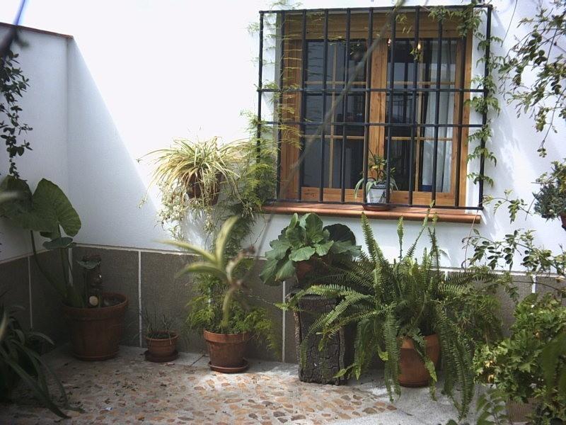Casa Rural La Brena Talaván Eksteriør billede